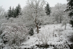 so viel Schnee, Januar 2010