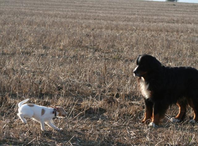 Kosmo und Nele